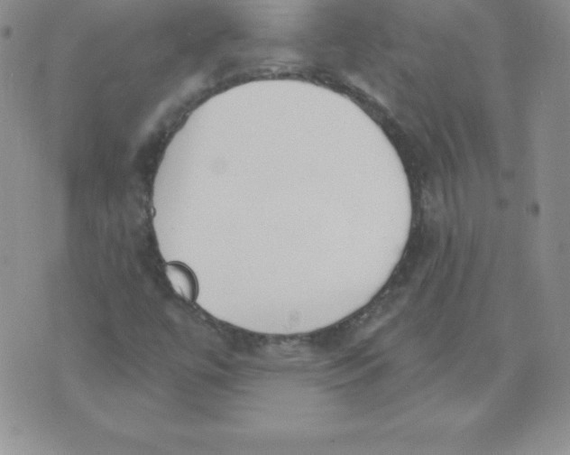 X0000071941447200607281932