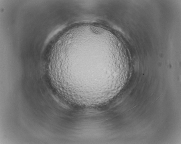 X0000071941448200607281932