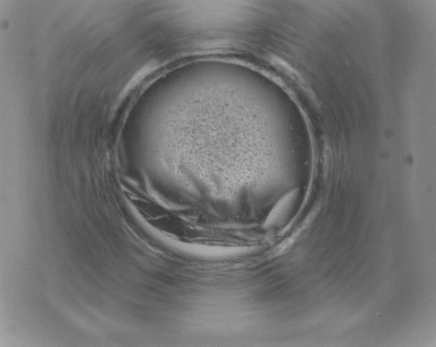 X0000071941449200607281932