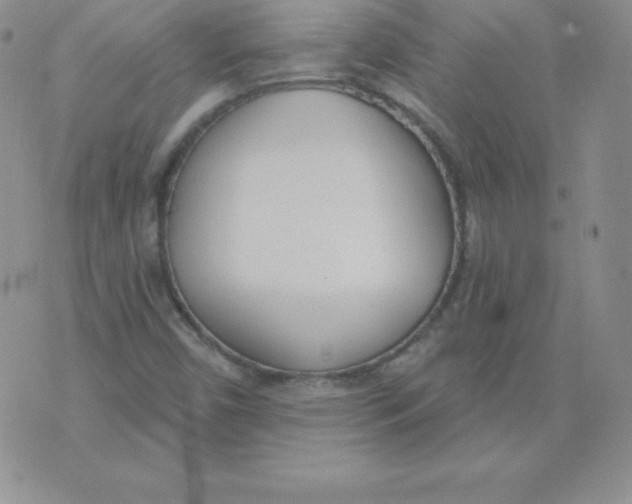 X0000071941450200607281932