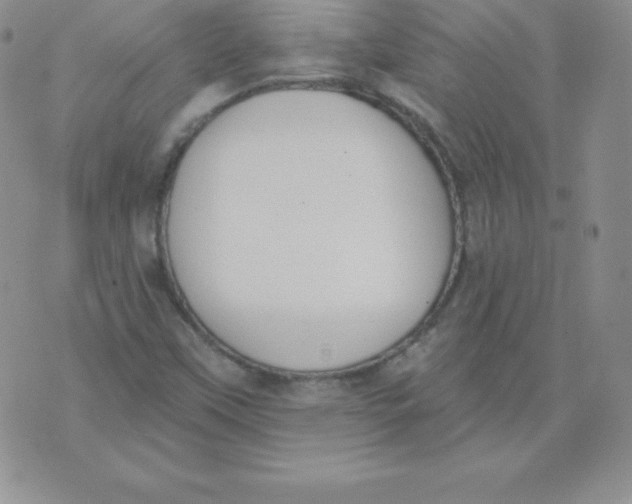 X0000071941451200607281931