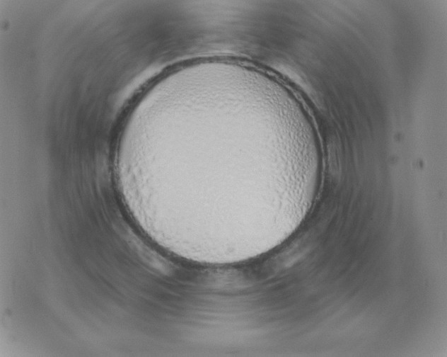 X0000071941452200607281931