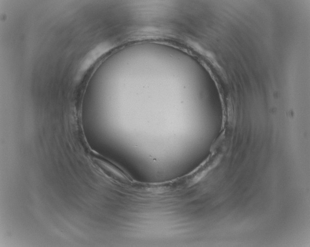 X0000071941453200607281931