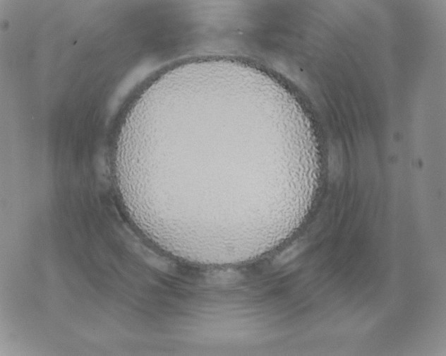 X0000071941454200607281931