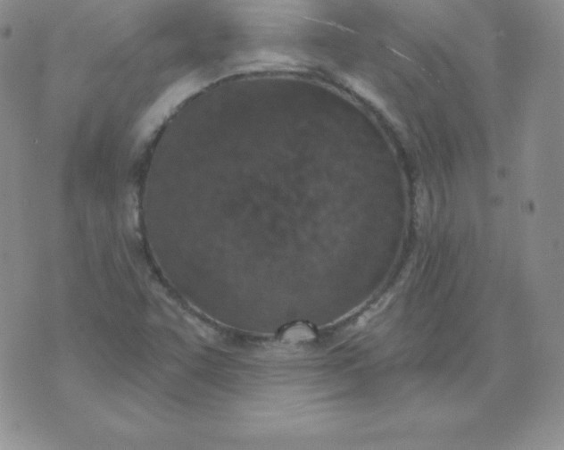 X0000071941455200607281931