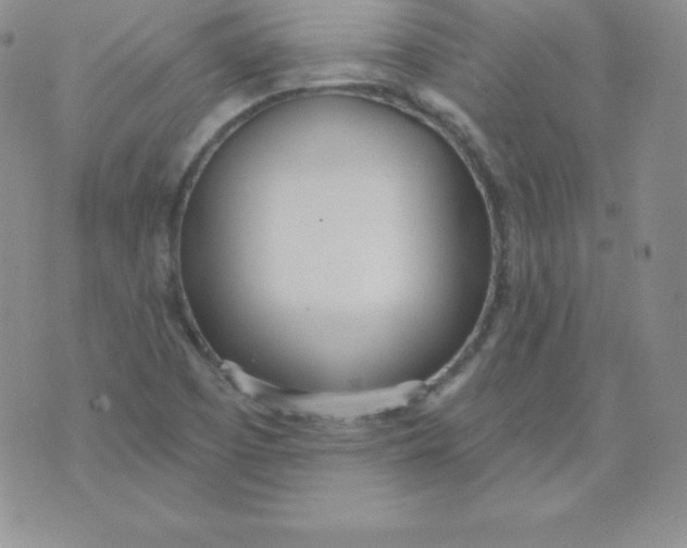 X0000071941457200607281931