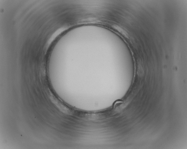 X0000071941458200607281931