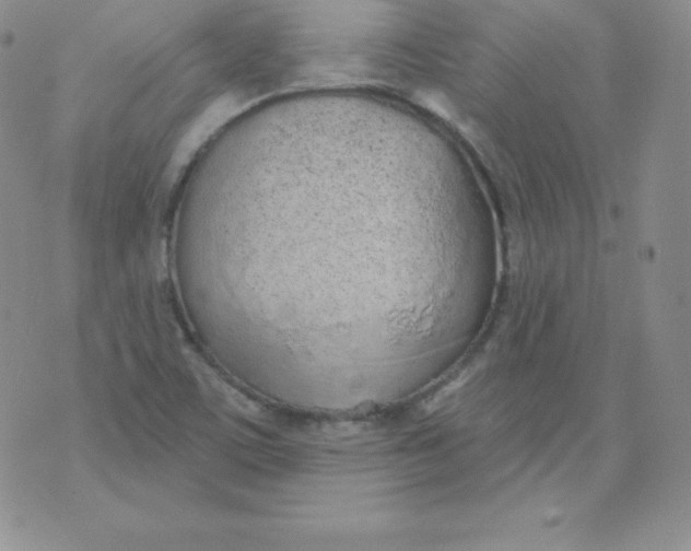 X0000071941459200607281931