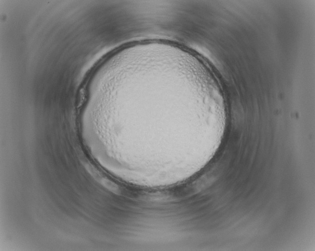 X0000071941460200607281931