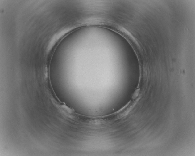 X0000071941461200607281931