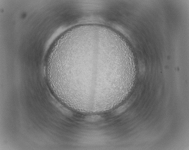 X0000071941462200607281931