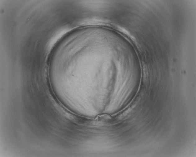 X0000071941463200607281931