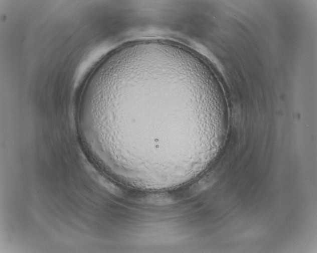 X0000071941464200607281931