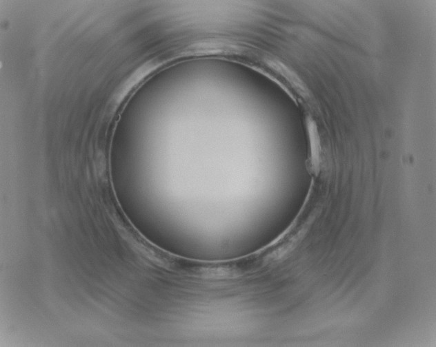 X0000071941465200607281931