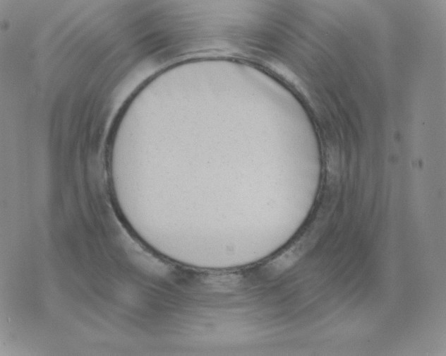 X0000071941466200607281931