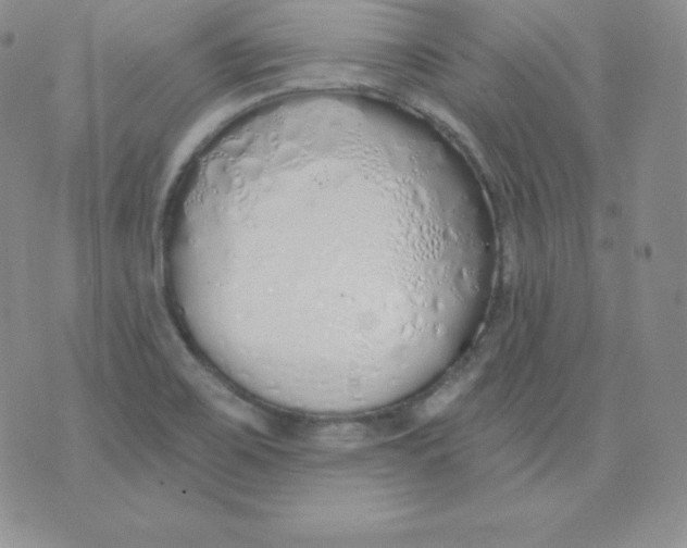 X0000071941467200607281931