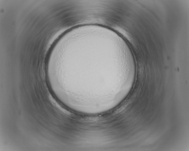 X0000071941468200607281931