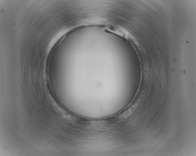 X0000071941469200607281931