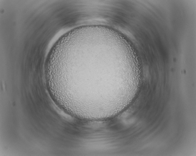 X0000071941470200607281931