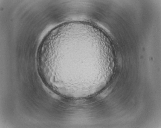 X0000071941471200607281931