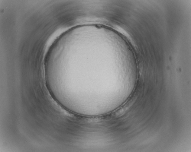 X0000071941472200607281931