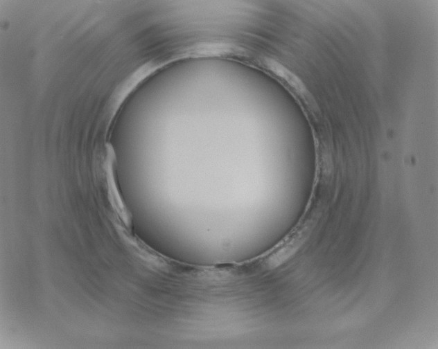 X0000071941473200607281931