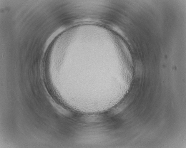 X0000071941474200607281931