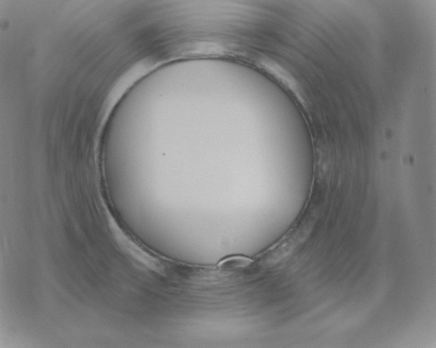 X0000071941475200607281931