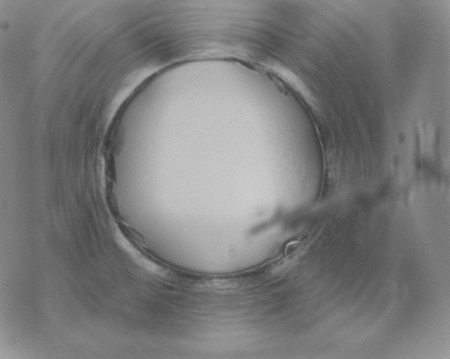 X0000071941476200607281931