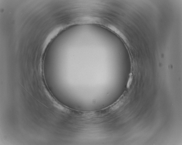 X0000071941477200607281931