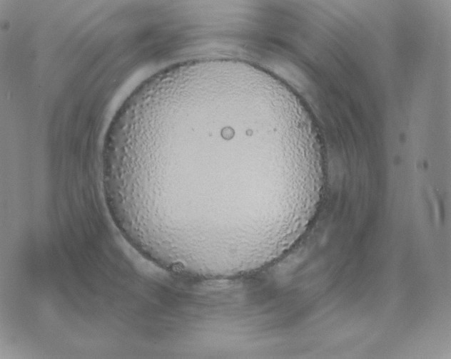 X0000071941478200607281931