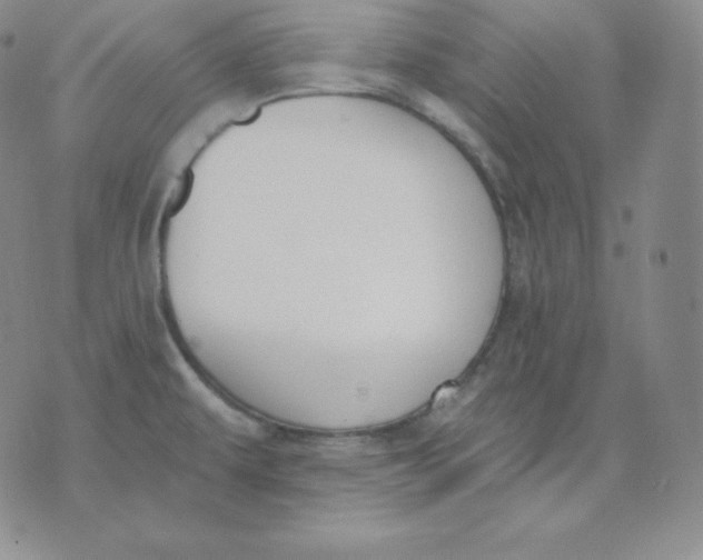 X0000071941479200607281931