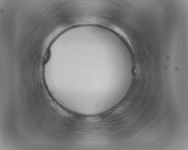 X0000071941480200607281931