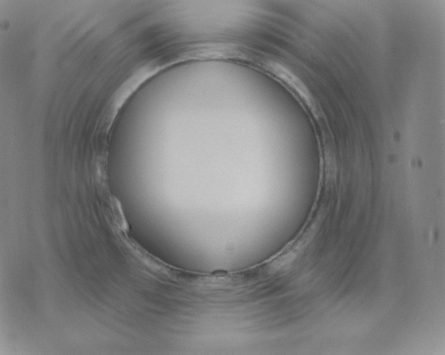 X0000071941481200607281931