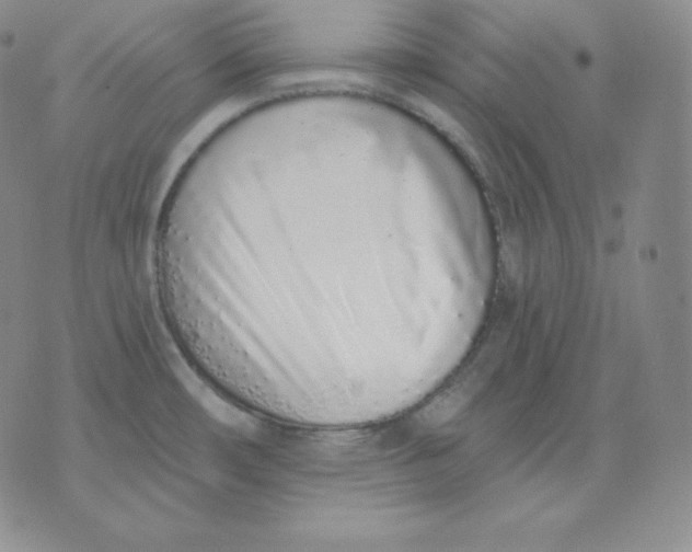 X0000071941482200607281931