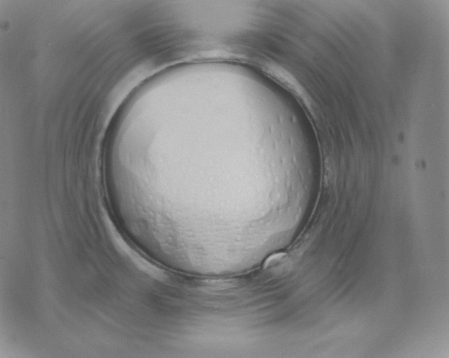 X0000071941483200607281931