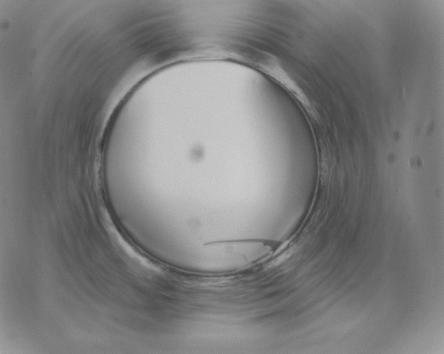 X0000071941484200607281931