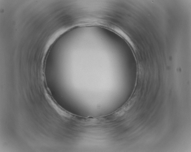 X0000071941485200607281931