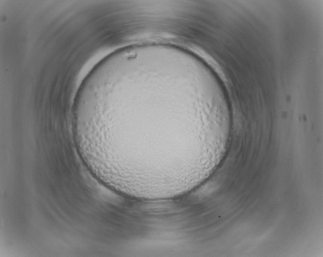 X0000071941486200607281931