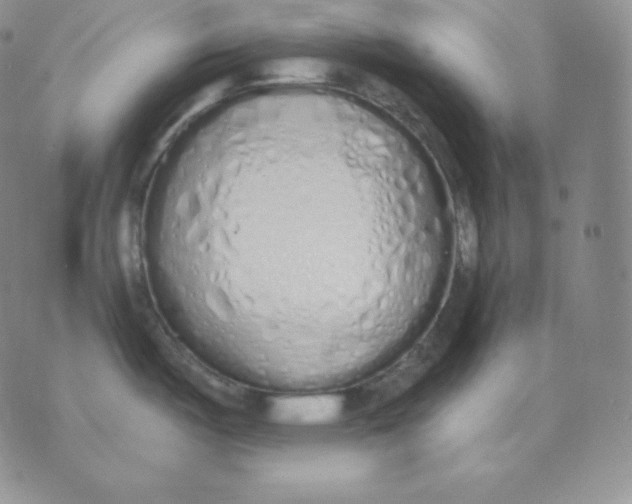 X0000071941487200607281931