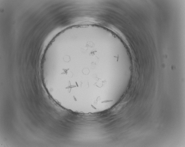 X0000071941488200607281931