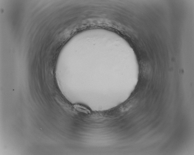 X0000071941489200607281930