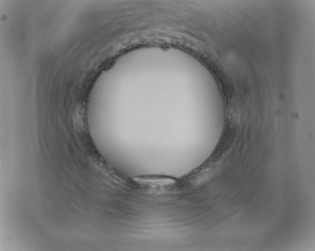 X0000071941490200607281930