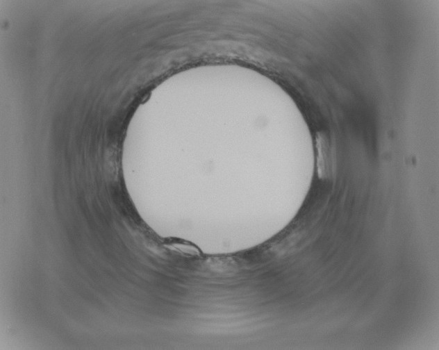 X0000071941491200607281930