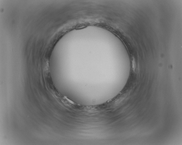 X0000071941492200607281930