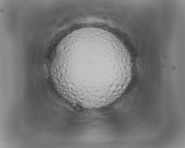 X0000071941493200607281930