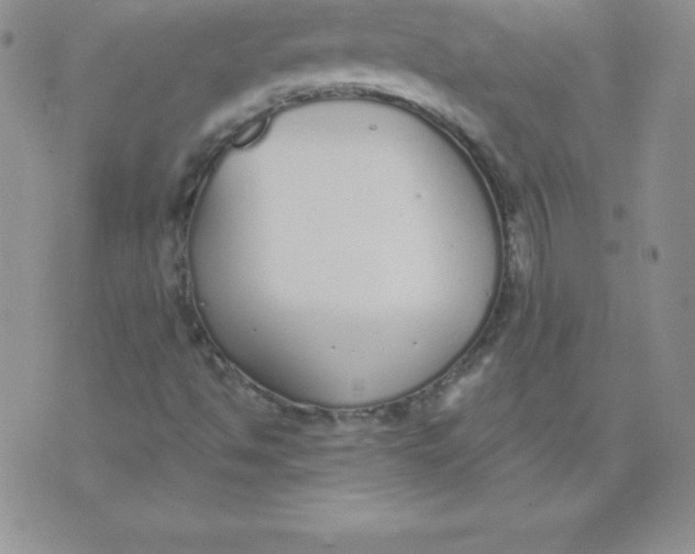 X0000071941494200607281930