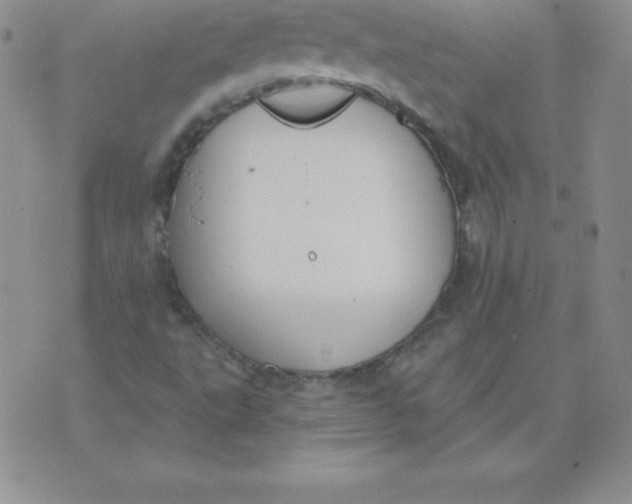 X0000071941495200607281930