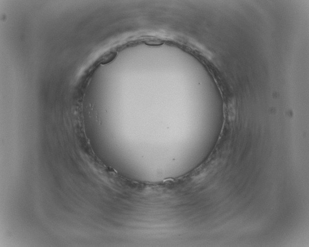 X0000071941496200607281930