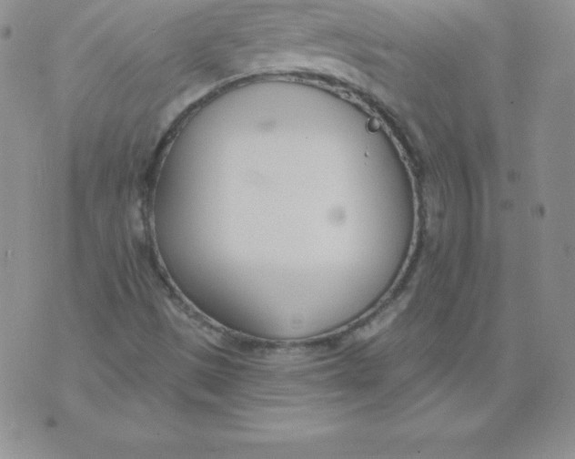 X0000071941497200607281930